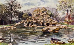 Jardim Zoológico de Londres: Lagoa dos Leões Marinhos (cor litho)
