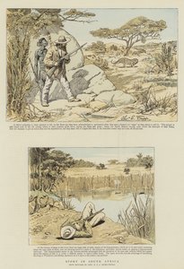 Esporte na África do Sul (cromolitro)