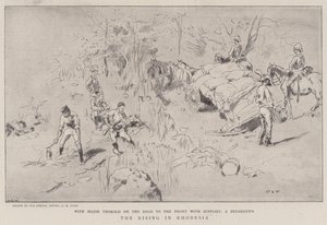 A ascensão na Rodésia de Charles Edwin Fripp