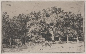 Um canto da floresta de Fontainebleau (gravura) de Charles Emile Jacque