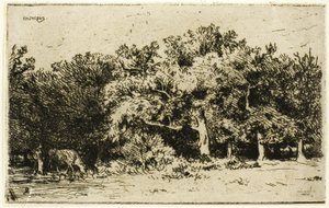 Uma parte da floresta de Fontainebleau de Charles Emile Jacque