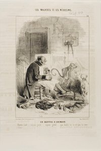 Um Hospital de Animais (ilustração 20) de Charles Emile Jacque
