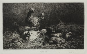 Galinhas de Charles Emile Jacque