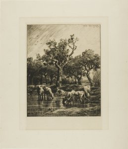 Vacas em um local de rega de Charles Emile Jacque