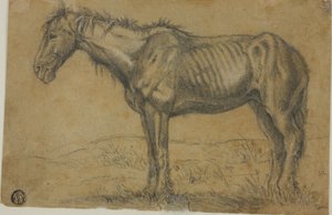Cavalo emaciado (frente); vista frontal de um cavalo (verso) de Charles Emile Jacque