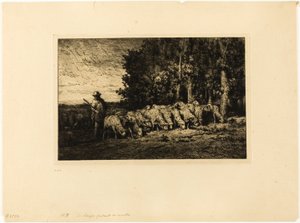 Rebanho de ovelhas à beira de um bosque de Charles Emile Jacque