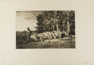 Rebanho de ovelhas à beira de um bosque de Charles Emile Jacque