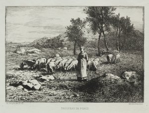 Rebanho de suínos, 1868. de Charles Emile Jacque