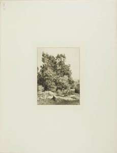 Paisagem com vaqueiro de Charles Emile Jacque