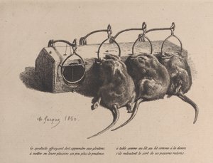Ratoeira, 1860. de Charles Emile Jacque