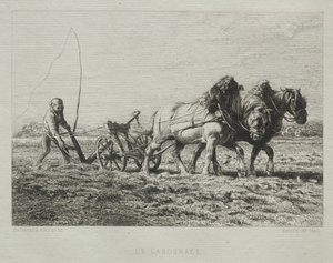 Arar de Charles Emile Jacque
