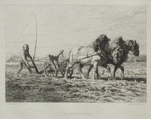 Arar. de Charles Emile Jacque