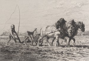 Arar, 1864. de Charles Emile Jacque