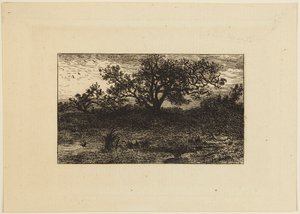 Imprimir de Charles Emile Jacque