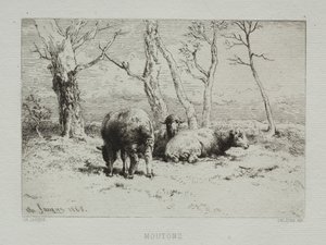 Ovelha, 1868. de Charles Emile Jacque