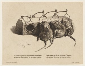 A ratoeira de Charles Emile Jacque