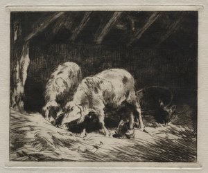 Dois Porcs. de Charles Emile Jacque
