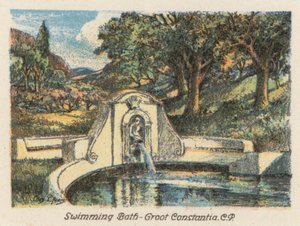 África do Sul: Banho de natação, Groot Constantia, CP (litografia a cores) de Charles Ernest Peers