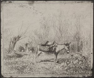 Um burro no campo, impressão original 1862, impressa em 1921. de Charles Francois Daubigny