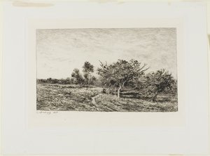 Macieiras em Auvers de Charles Francois Daubigny