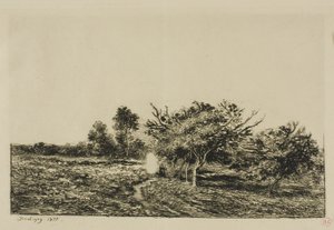 Macieiras em Auvers de Charles Francois Daubigny