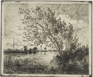 Moita de Amieiros de Charles Francois Daubigny