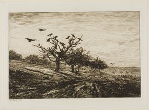 Corvos em uma árvore de Charles Francois Daubigny