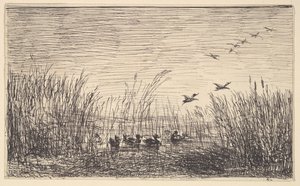 Patos nos pântanos, [1862], reimpressos em 1921. de Charles Francois Daubigny