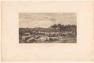 Paisagem com rebanho de ovelhas
Parc à moutons, le matin (título sobre o objecto) de Charles Francois Daubigny