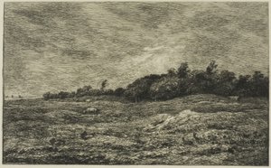 O Pré des Graves em Villerville (Calvados) de Charles Francois Daubigny