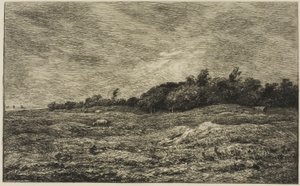 O Pré des Graves em Villerville (Calvados)