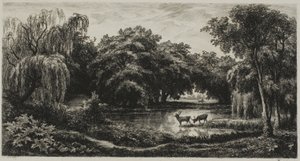 Pântano com veados de Charles Francois Daubigny