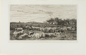 Prado com ovelhas de Charles Francois Daubigny