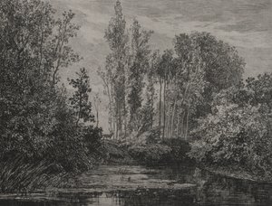 Veados à beira da água de Charles Francois Daubigny