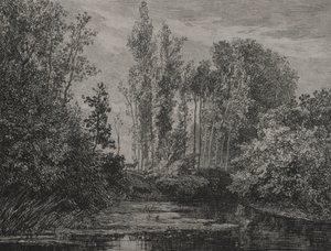 Veados à beira da água, 1850. de Charles Francois Daubigny