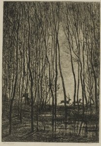 Veados na floresta de Charles Francois Daubigny