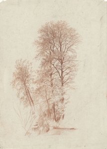 Estudo de duas árvores finas e algumas mais pequenas em folha de Charles Francois Daubigny