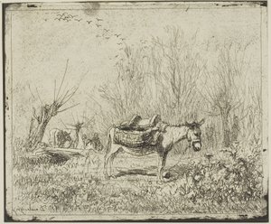 O burro no prado de Charles Francois Daubigny