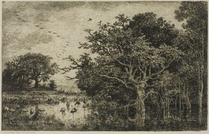 O pântano com cegonhas de Charles Francois Daubigny
