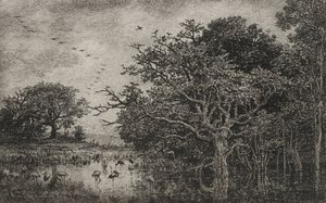 O pântano com cegonhas, c. 1851 de Charles Francois Daubigny