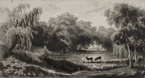A piscina com veados de Charles Francois Daubigny