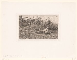 Kip coloca kuikens A galinha e seus filhotes de Charles François Daubigny (attributed to)