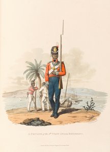 Um soldado do 5º Regimento das Índias Ocidentais