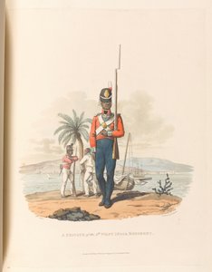 Um soldado do 5º Regimento das Índias Ocidentais de Charles Hamilton (after) Smith