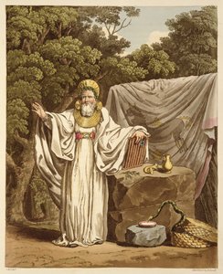 Um druida do arco em seu hábito judicial, gravado por Robert Havell (1769-1832) 1815 (aquatint) de Charles Hamilton Smith