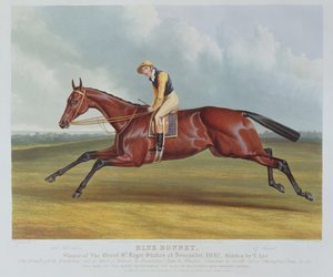 "Blue Bonnet", vencedor do Grande St Leger Stakes em Doncaster, 1842, gravado por John Harris (c.1791-1873), pub. por Rudolph Ackermann, 1842 (aquatinta)