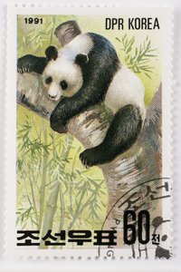 Selo/Coréia do Norte/Ailuropoda melanoleuca/Grande panda/Giant Panda