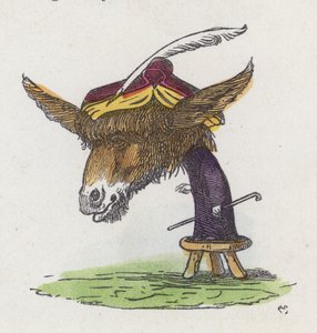 Burro de pé sobre um banco (gravação colorida)