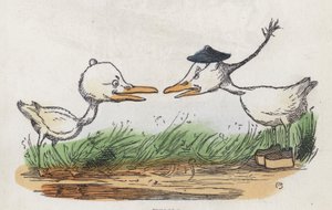Duas aves viradas uma para a outra (gravura colorida) de Charles Henry (after) Bennett