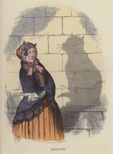 Felino (gravura colorida) de Charles Henry Bennett
